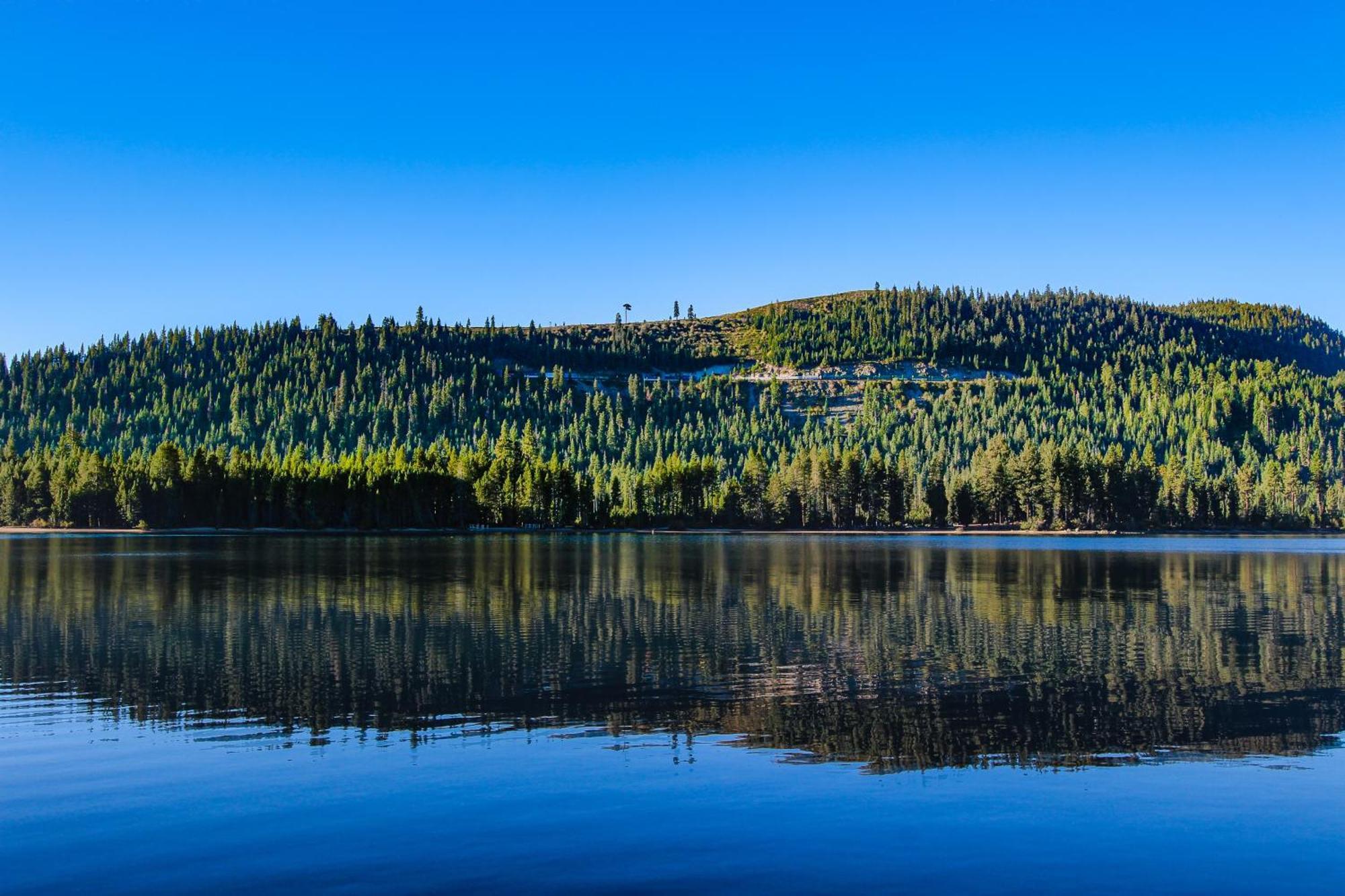 Donner Lakefront Retreat Villa Truckee Exteriör bild